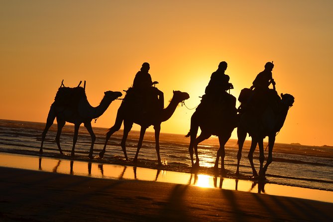 Essaouira beach with windsurfers and golden sand at sunset